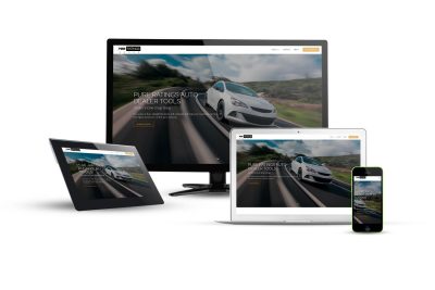 Dealer Biz Tools Dealer Biz Tools - Eternal NYC Website Design Portfolio